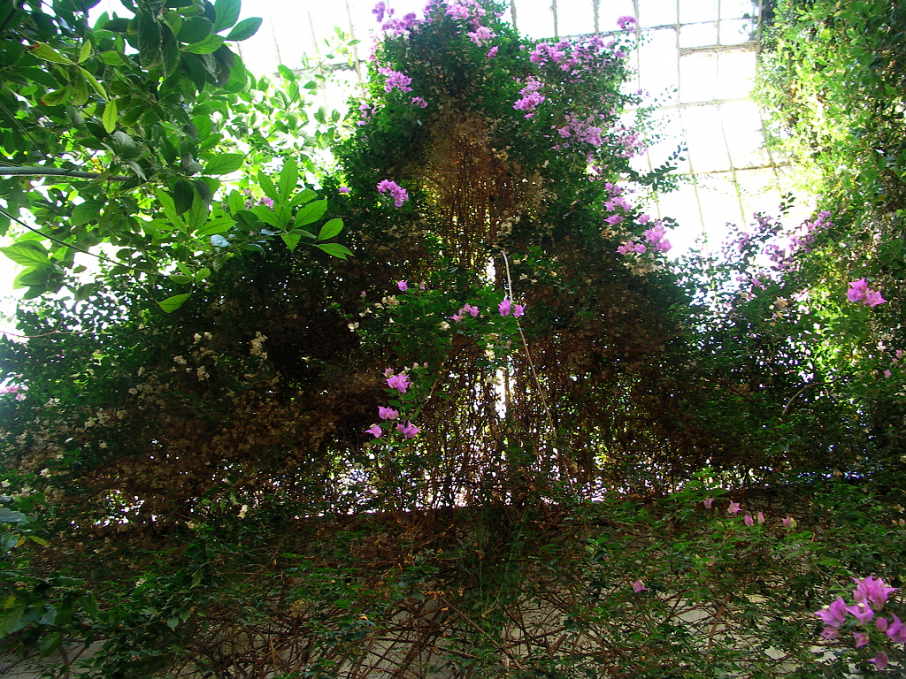 Květná zahrada - skleník